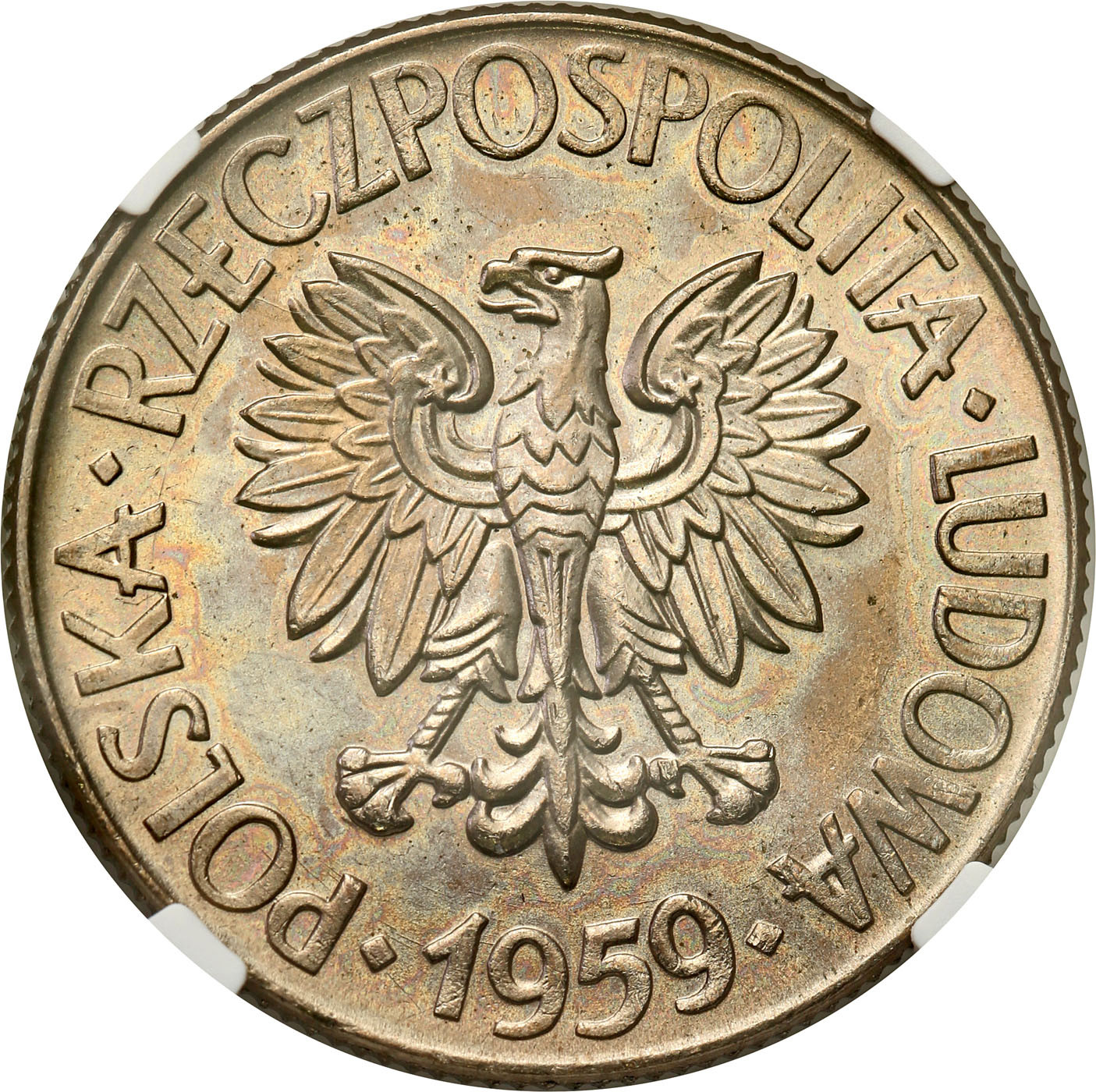 PRL. 10 złotych 1959 Kościuszko (bez znaku) NGC MS64